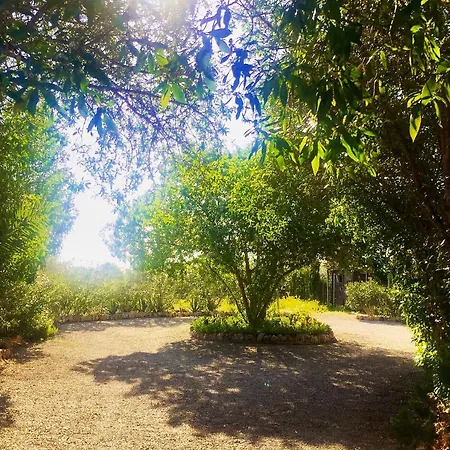 Villa Finca Son Aduar *