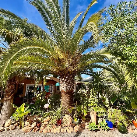 Villa Finca Son Aduar
